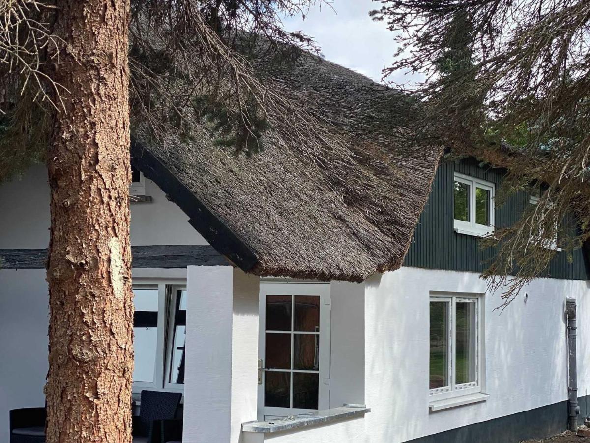 Naturidyll Mariendorf - Reethus Rotbuche Middelhagen Bagian luar foto
