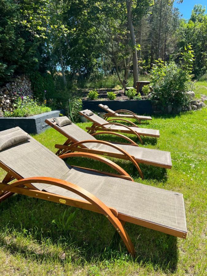 Naturidyll Mariendorf - Reethus Rotbuche Middelhagen Bagian luar foto