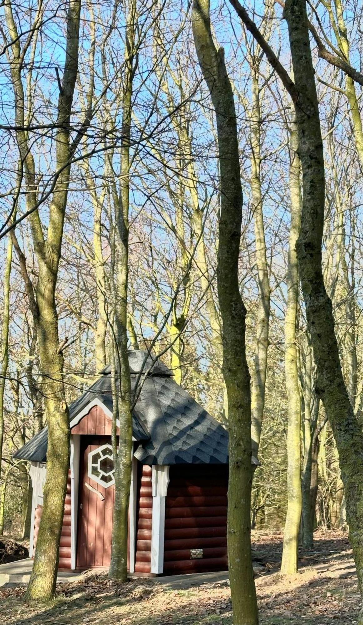 Naturidyll Mariendorf - Reethus Rotbuche Middelhagen Bagian luar foto